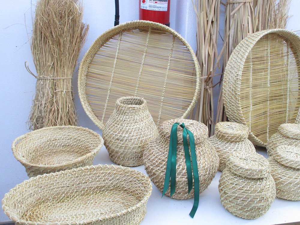 Taños, zarandas y balayos tejen los alumnos del curso de cestería del Cabildo con la ancestral técnica del junco y la enea